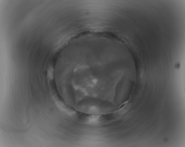 X0000112970090200909031056