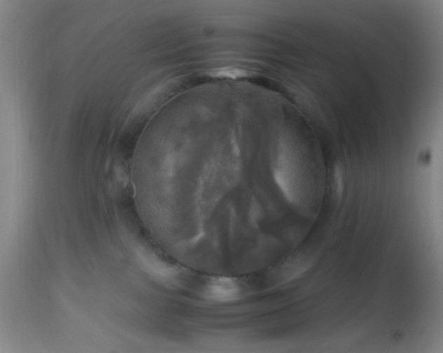 X0000112970091200909031056