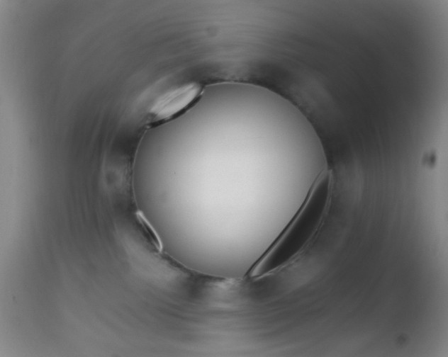 X0000112970092200909031056