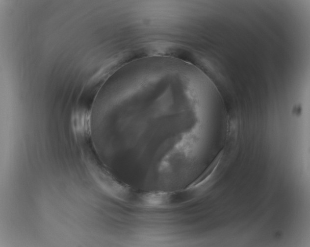 X0000112970094200909031056