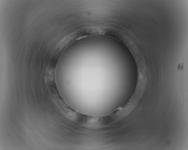 X0000112970096200909031056