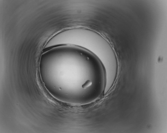 X0000112970097200909031055