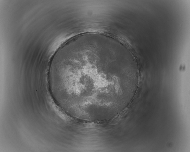 X0000112970098200909031055