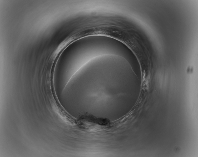 X0000112970099200909031055