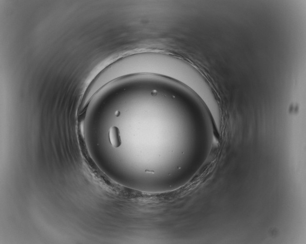 X0000112970100200909031055