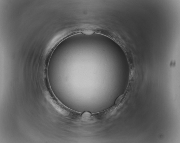 X0000112970101200909031055