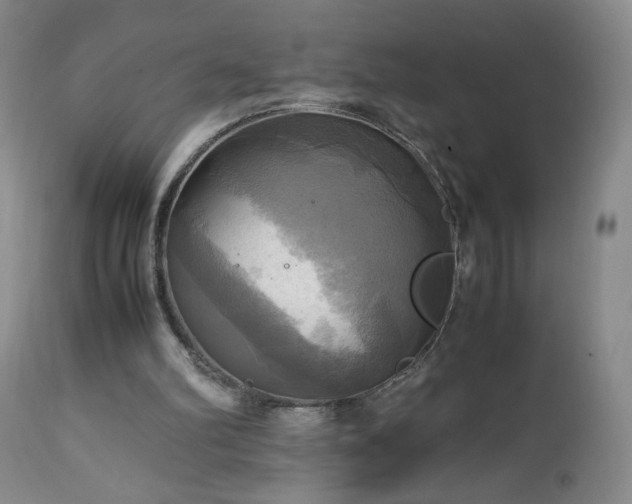 X0000112970102200909031055