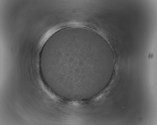 X0000112970103200909031055