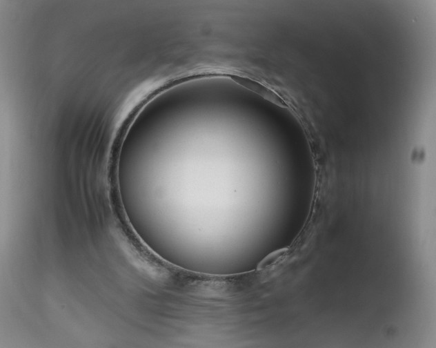 X0000112970104200909031055