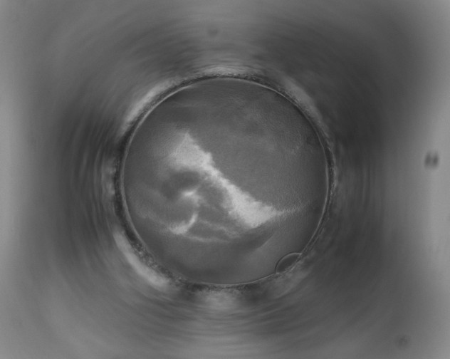 X0000112970106200909031055