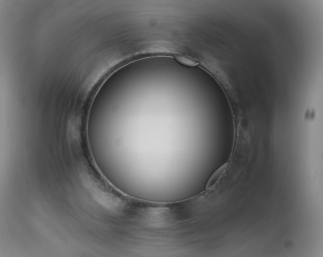 X0000112970108200909031055