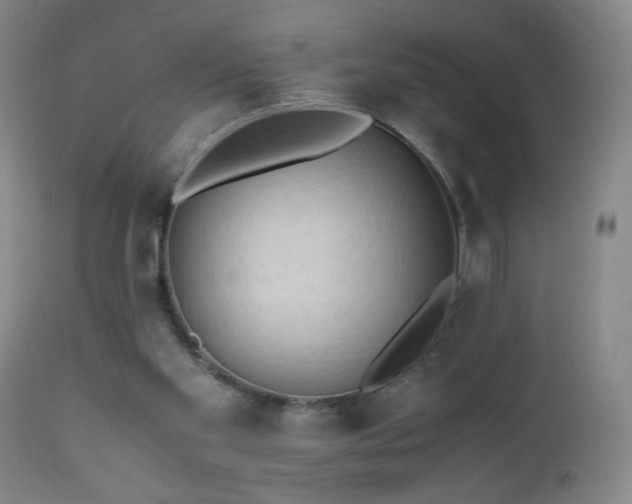 X0000112970109200909031055