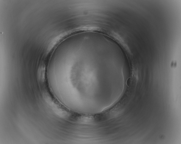 X0000112970110200909031055