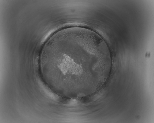 X0000112970111200909031055