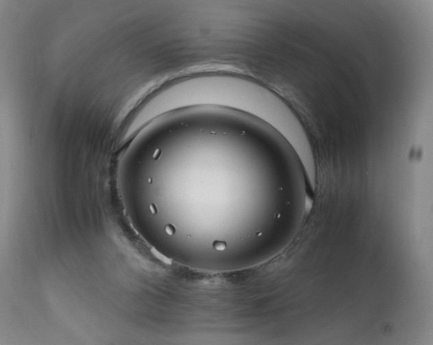 X0000112970112200909031055