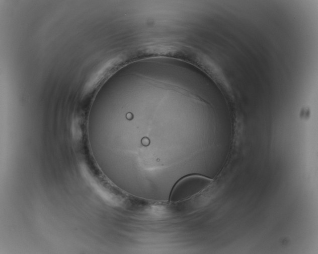 X0000112970114200909031055