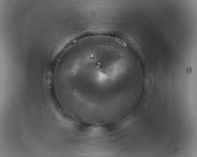 X0000112970115200909031055