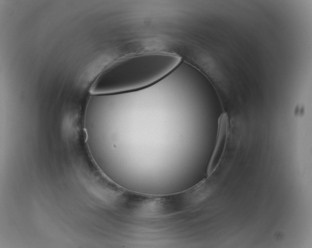 X0000112970116200909031055