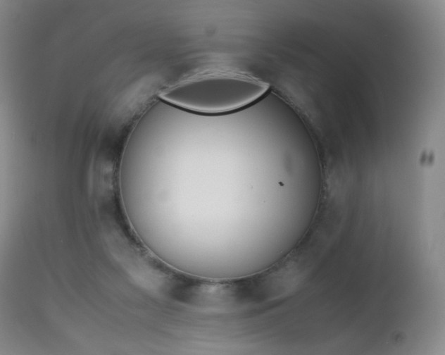 X0000112970117200909031055