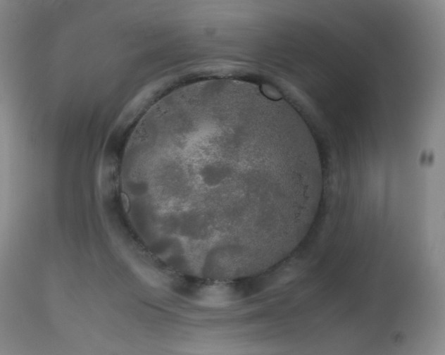 X0000112970119200909031055