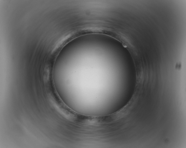 X0000112970120200909031055