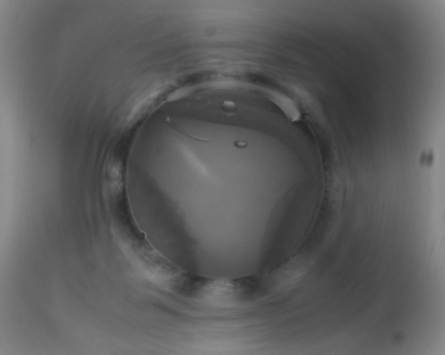 X0000112970123200909031055