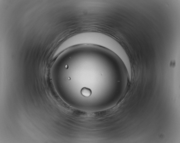 X0000112970124200909031055