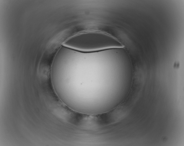 X0000112970125200909031055