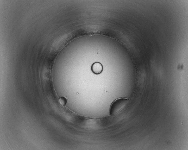 X0000112970126200909031055