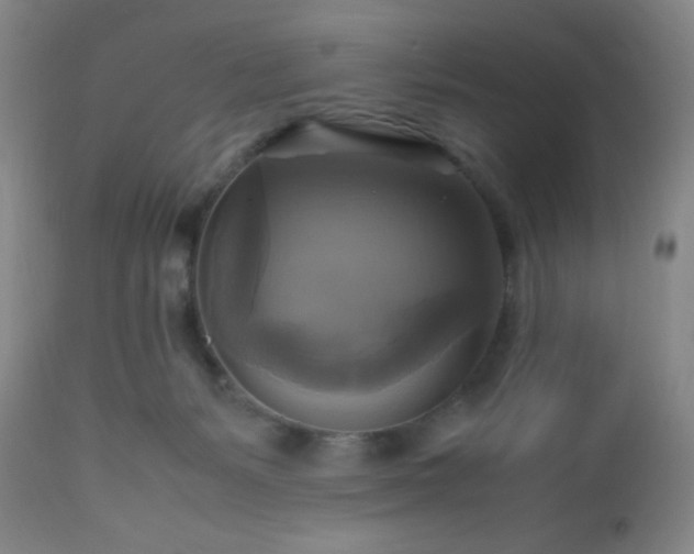 X0000112970127200909031055