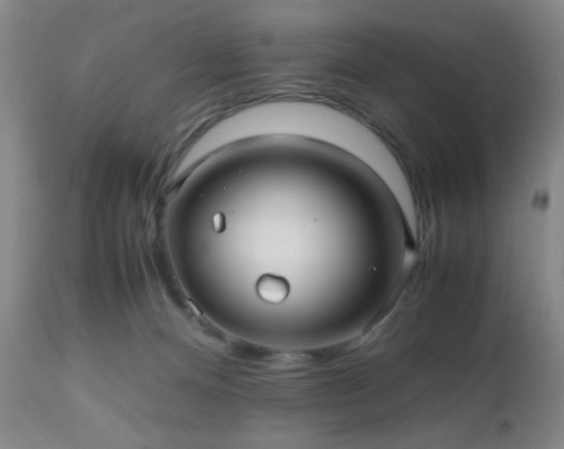 X0000112970128200909031055