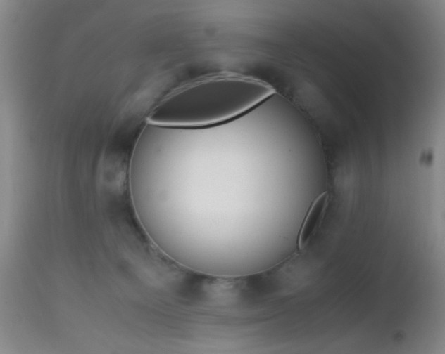 X0000112970129200909031055