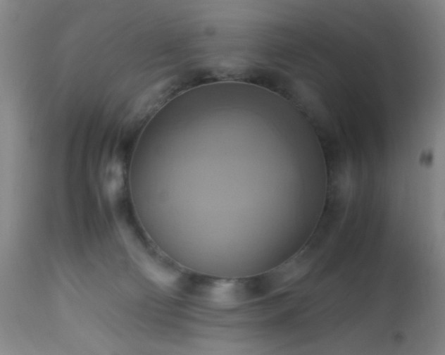 X0000112970130200909031055