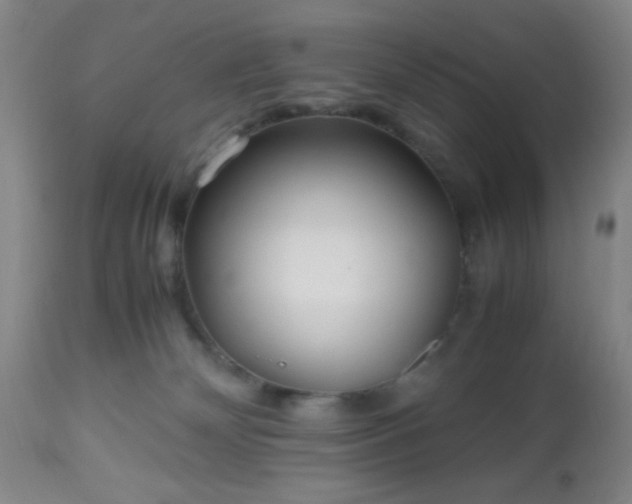 X0000112970132200909031054