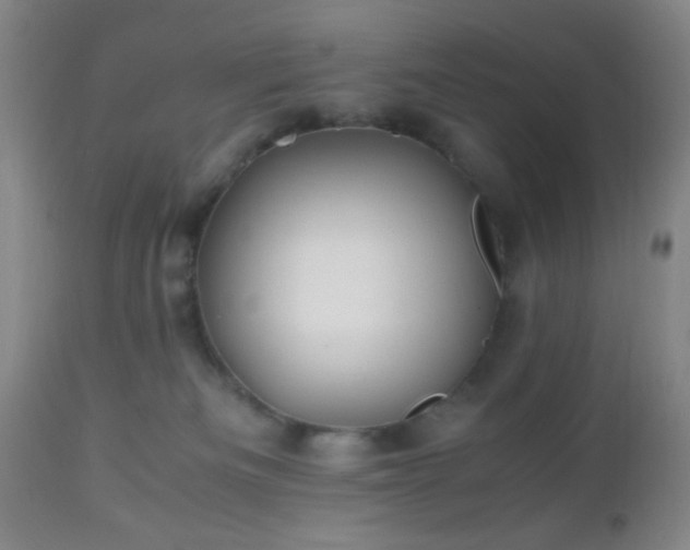 X0000112970133200909031054