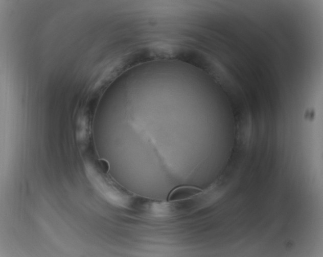 X0000112970134200909031054