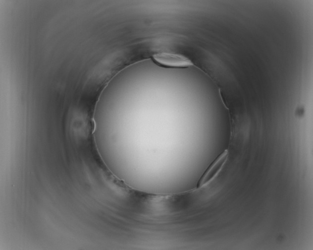 X0000112970136200909031054