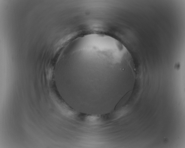 X0000112970139200909031054