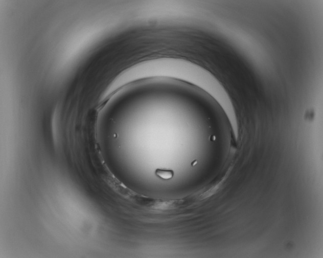 X0000112970140200909031054