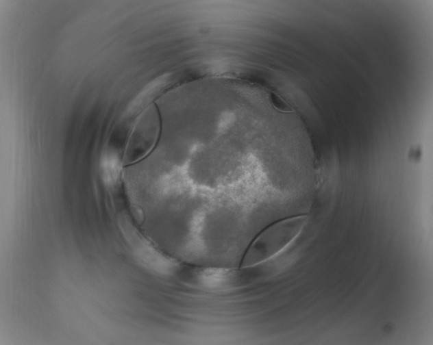 X0000112970142200909031054