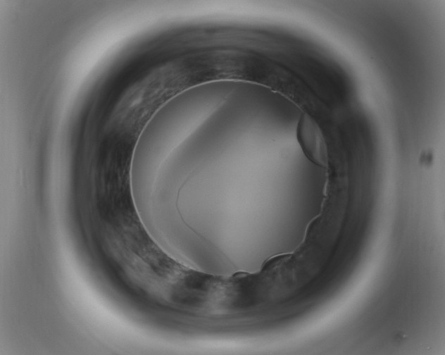 X0000112970143200909031054