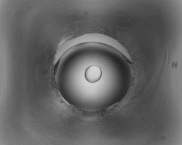 X0000112970144200909031054