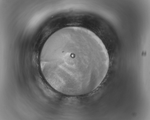 X0000112970146200909031054