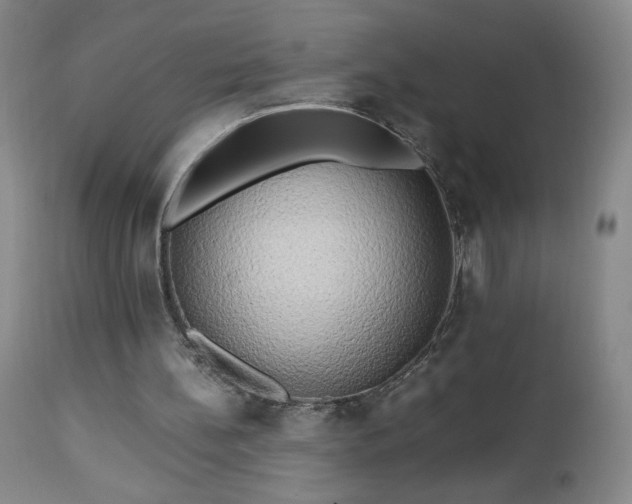 X0000112970148200909031054