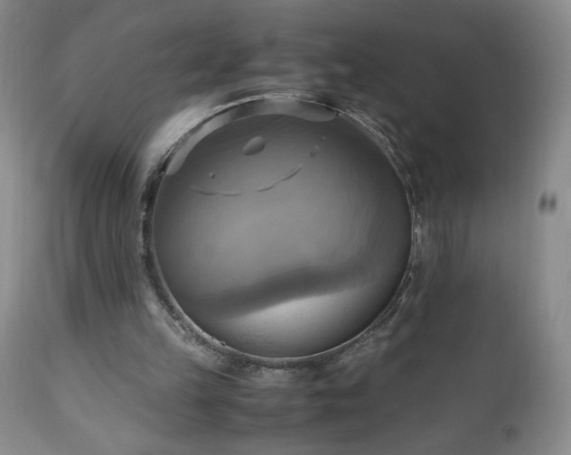 X0000112970149200909031054