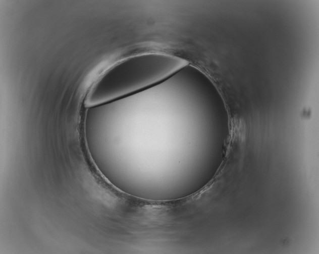 X0000112970150200909031054