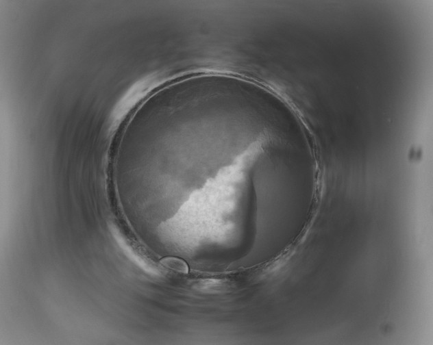 X0000112970151200909031054