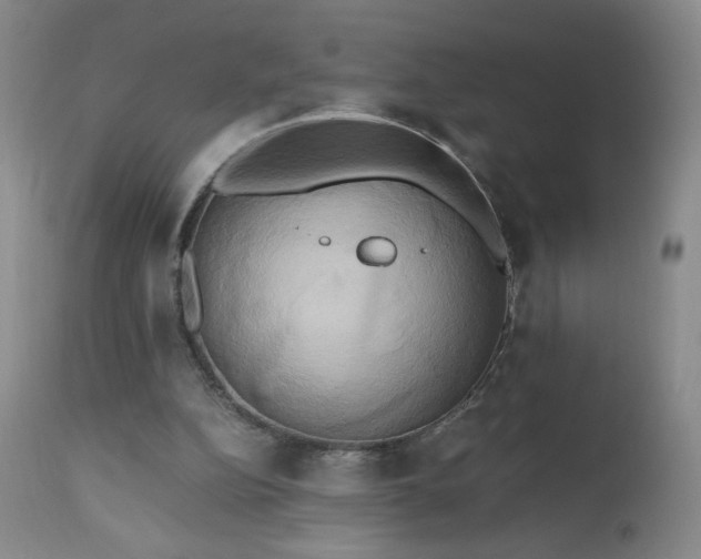 X0000112970152200909031054