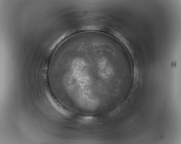 X0000112970153200909031054