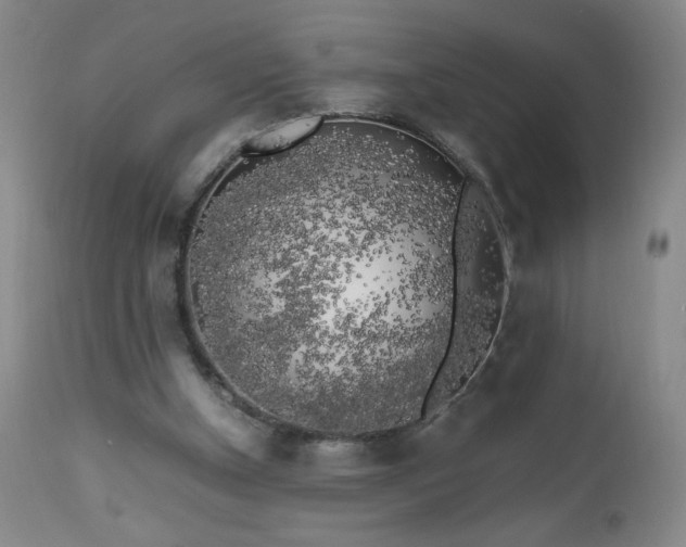 X0000112970154200909031054